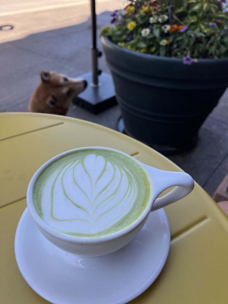 A matcha latte outside of Hello Darling
