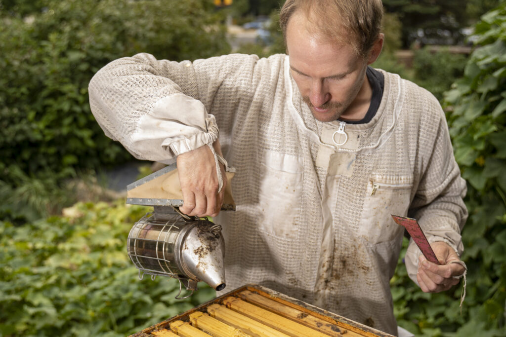 The beekeeper looks over his hives at St. Julien